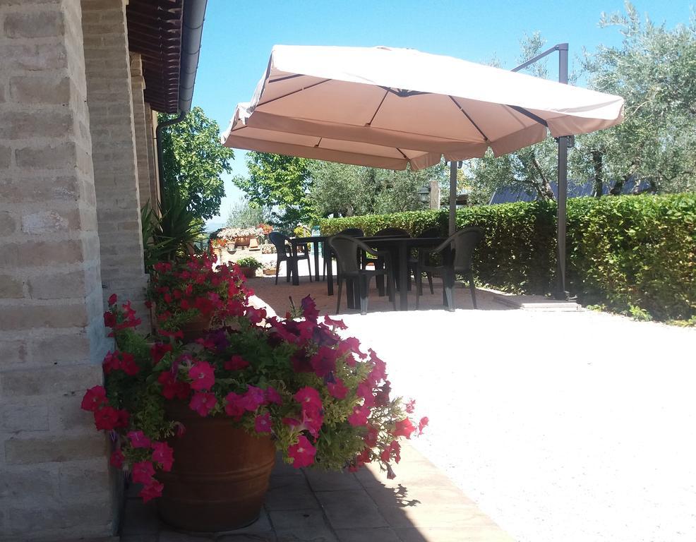 Tenuta Colverano Montefalco Exterior photo