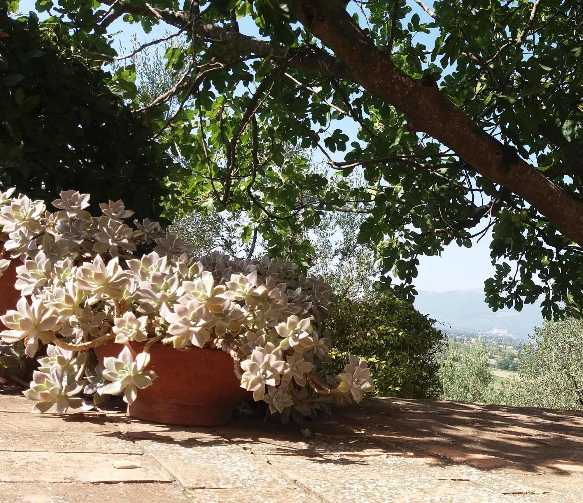 Tenuta Colverano Montefalco Exterior photo
