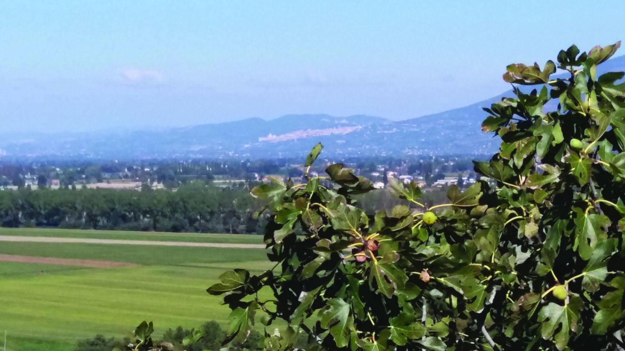 Tenuta Colverano Montefalco Exterior photo